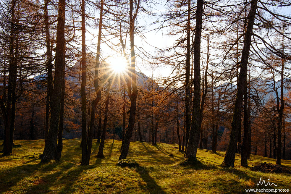 Landscape 28