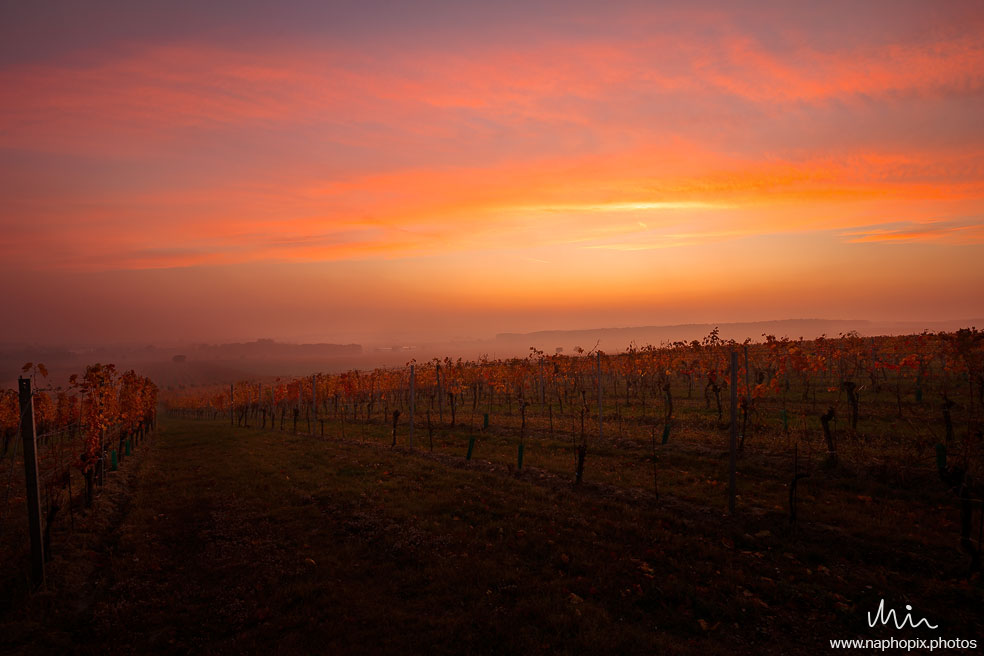 Landscape 72