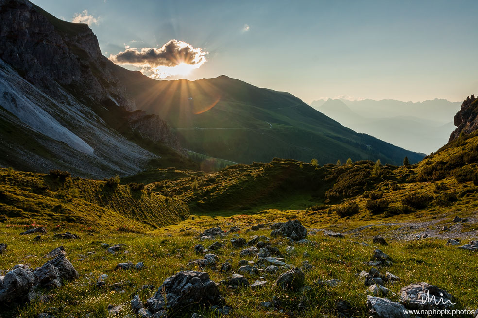Landscape 8