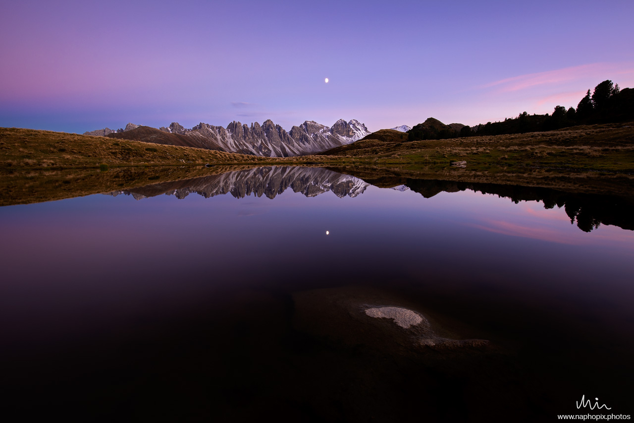 Landscape 41
